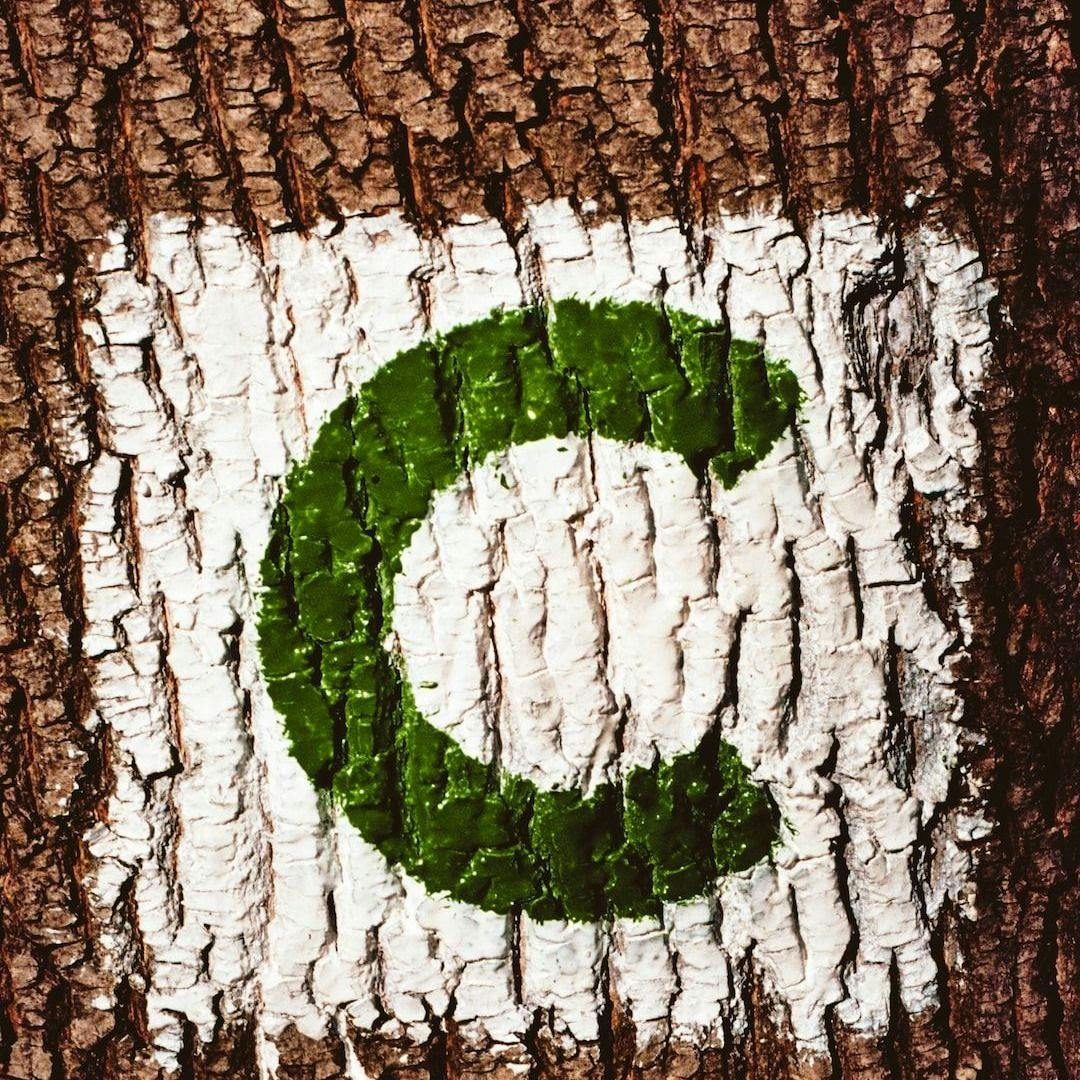 featured image - Beware of 'Using Declarion' in C# 8.0: A Real Example