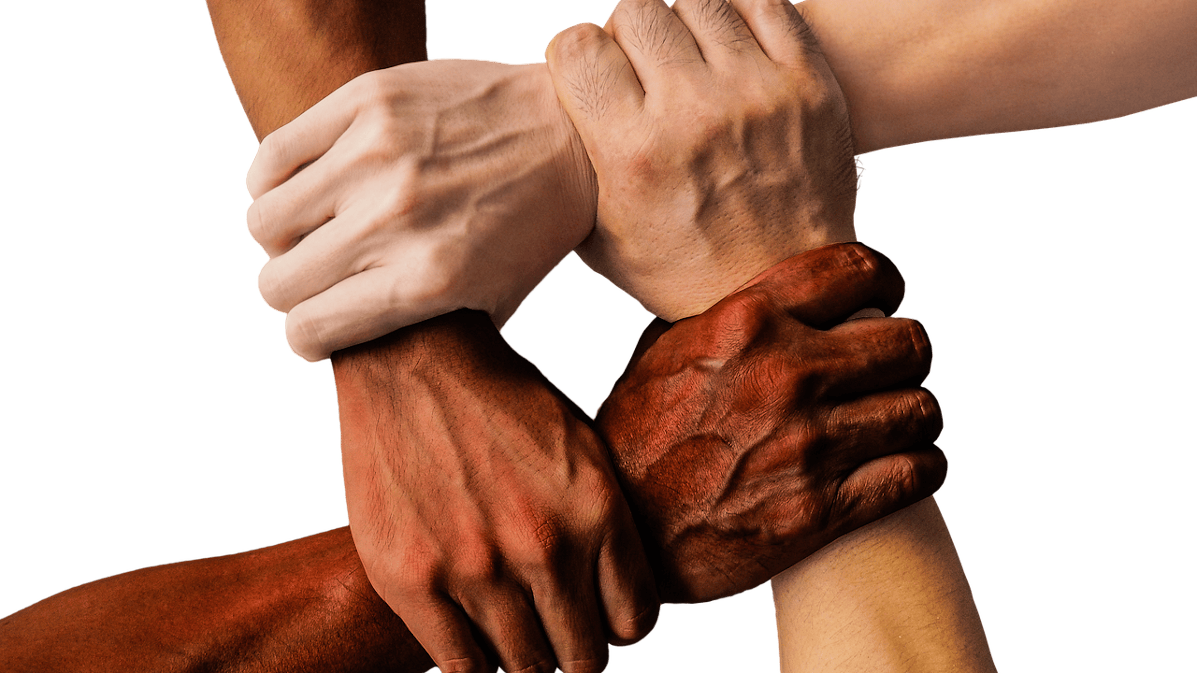 featured image - The Role Of Empathy In Building Strong DAO Communities