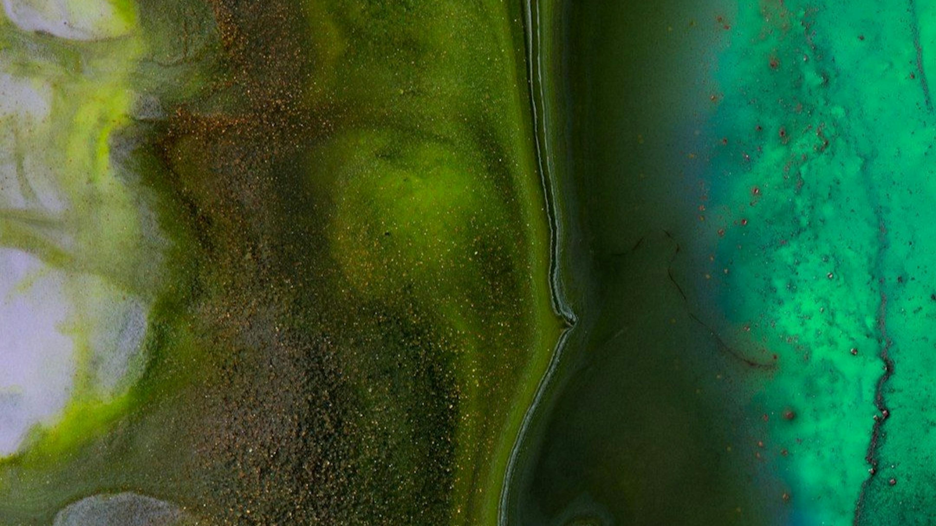 featured image - Microbial Dynamics: How Light-Driven Chemotaxis Creates an Algae-Bacteria Tug-of-War