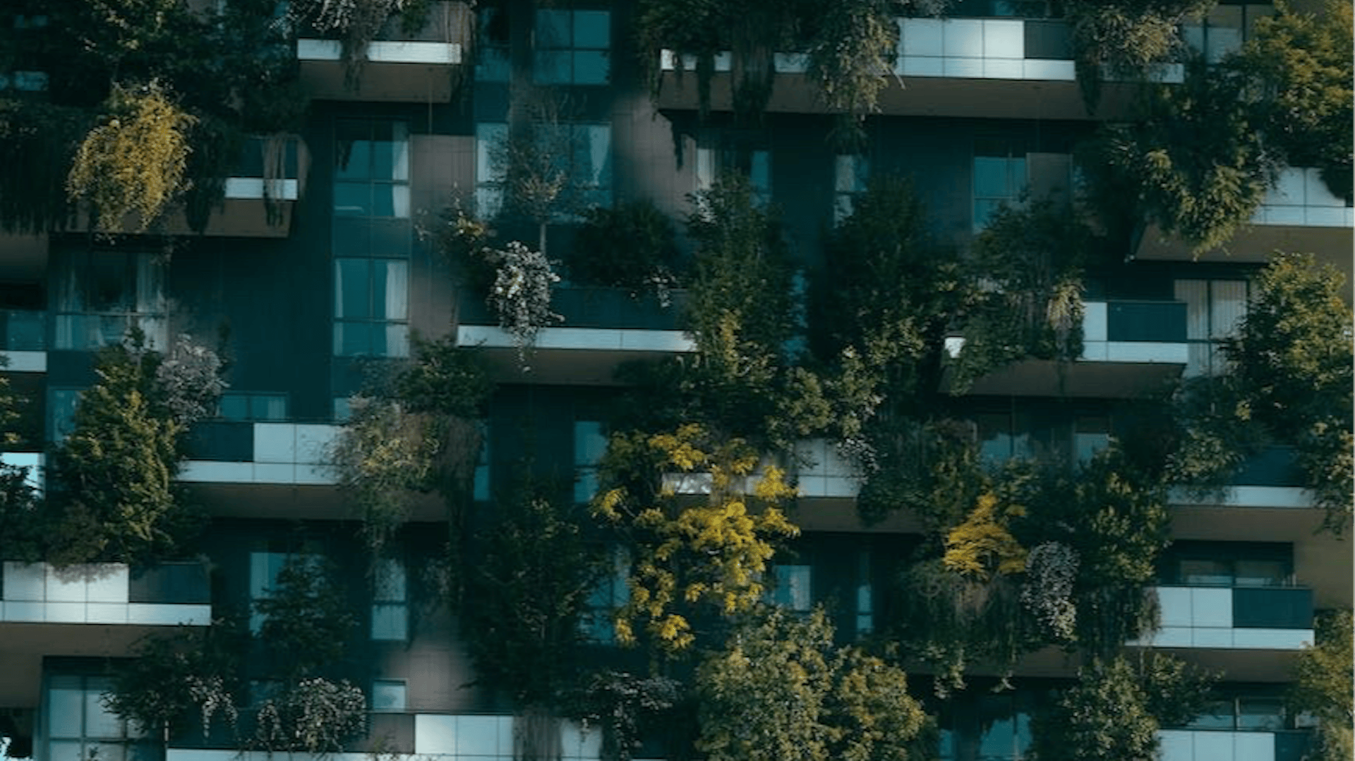 featured image - To Achieve Global Adoption, Crypto Should Remember Its Roots