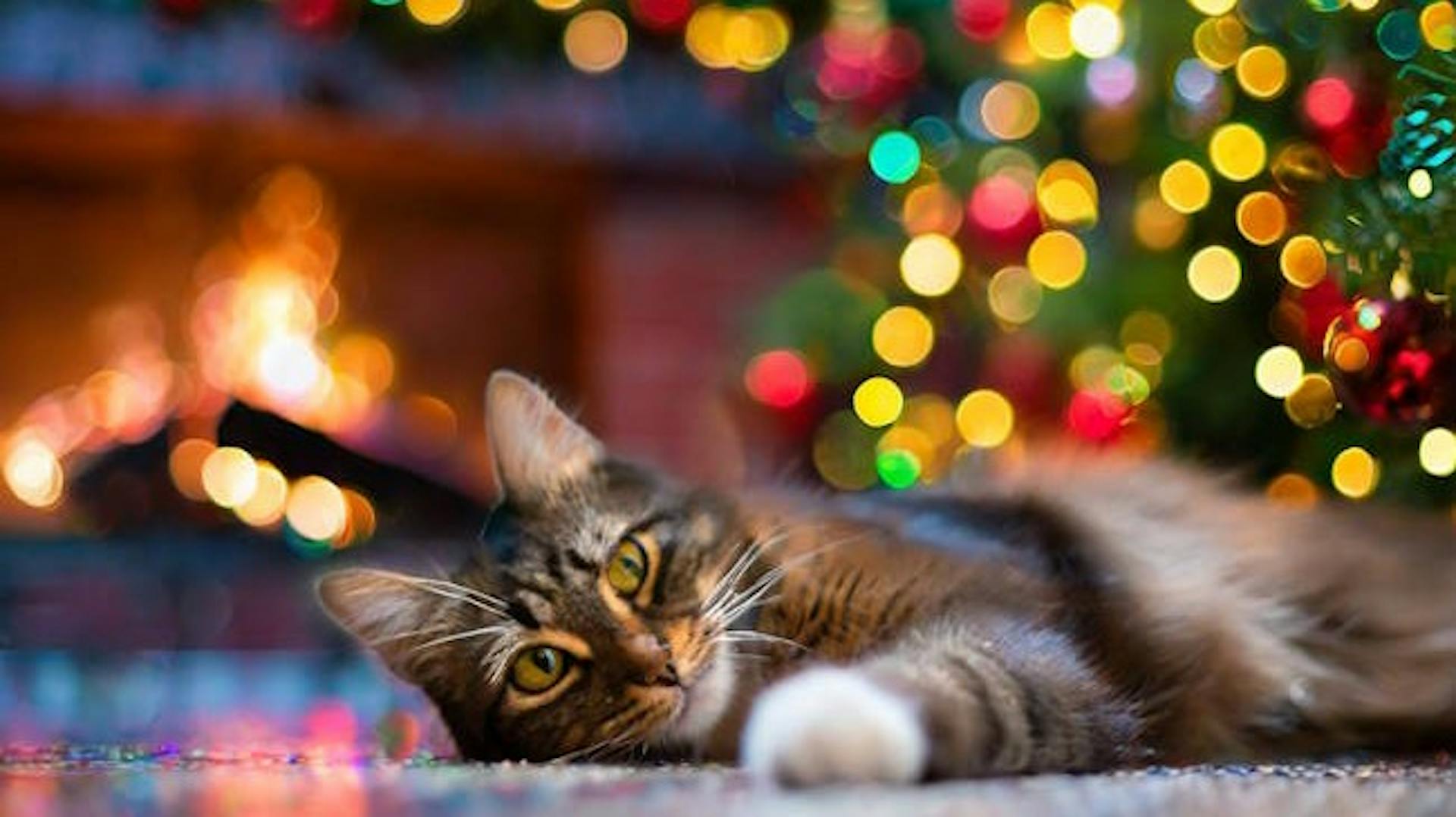 featured image - AI Yuletide: The Twelve (Generative) Days of Christmas