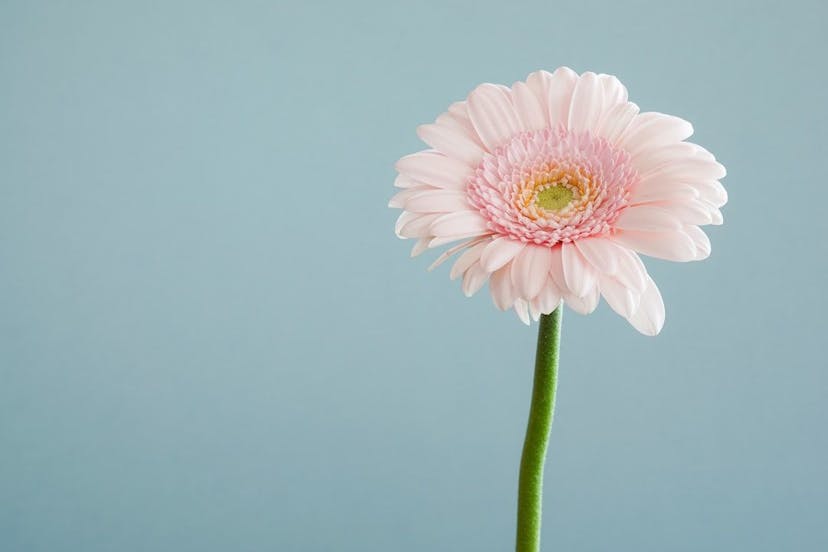 /understanding-bloom-filters-an-efficient-probabilistic-data-structure feature image
