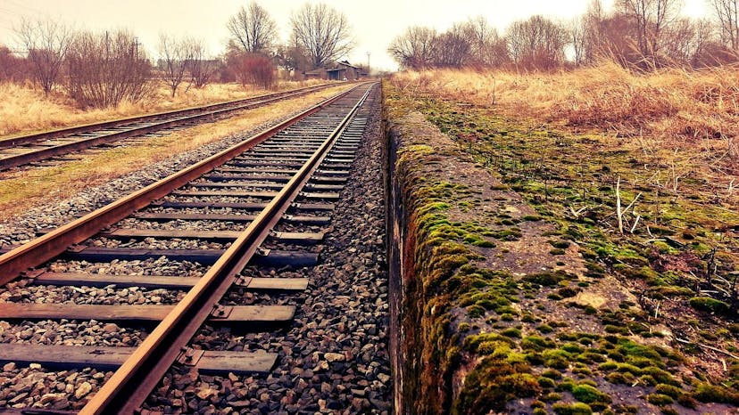 /using-devise-in-your-ruby-on-rails-application-a-step-by-step-guide-m92i3y5s feature image