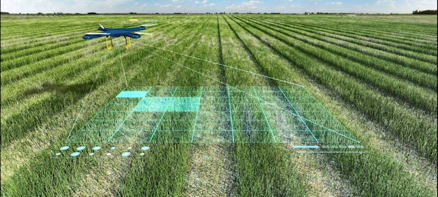 /ai-and-the-agriculture-industry-opportunities-and-challenges-3b5q3583 feature image