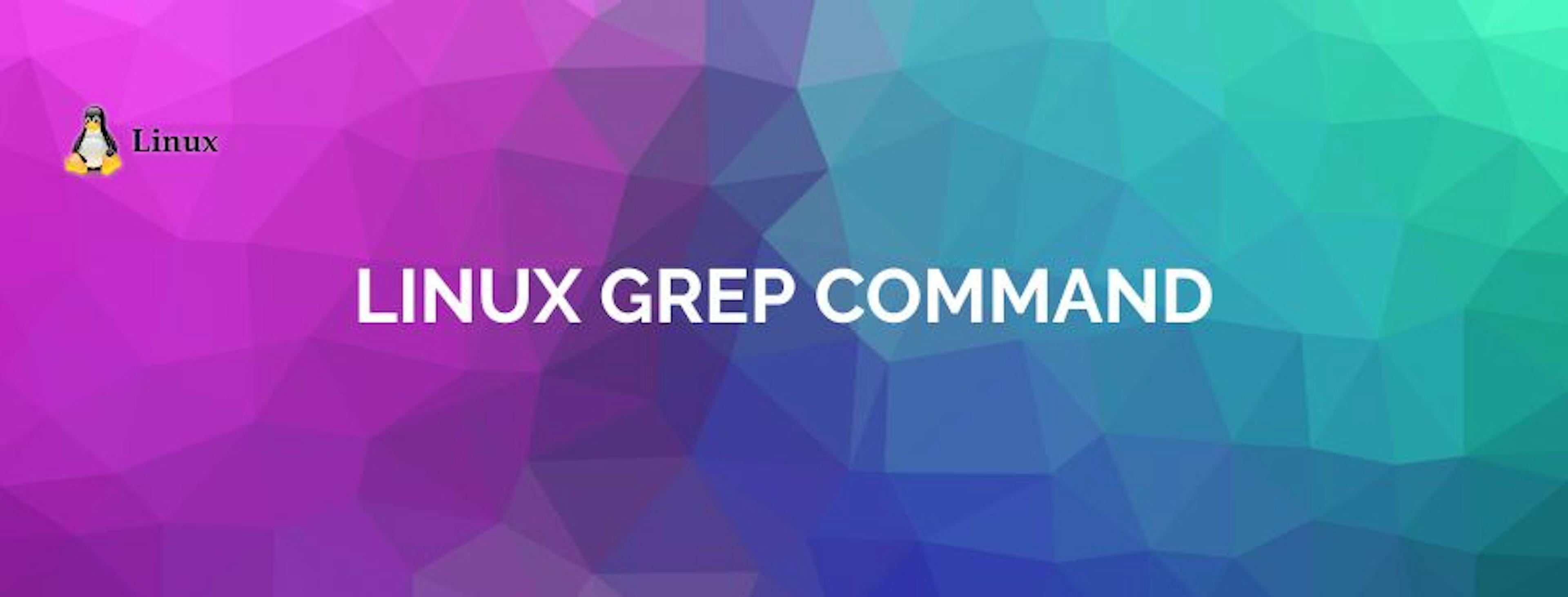 Making Text Searches Easy With Linux Grep Commands