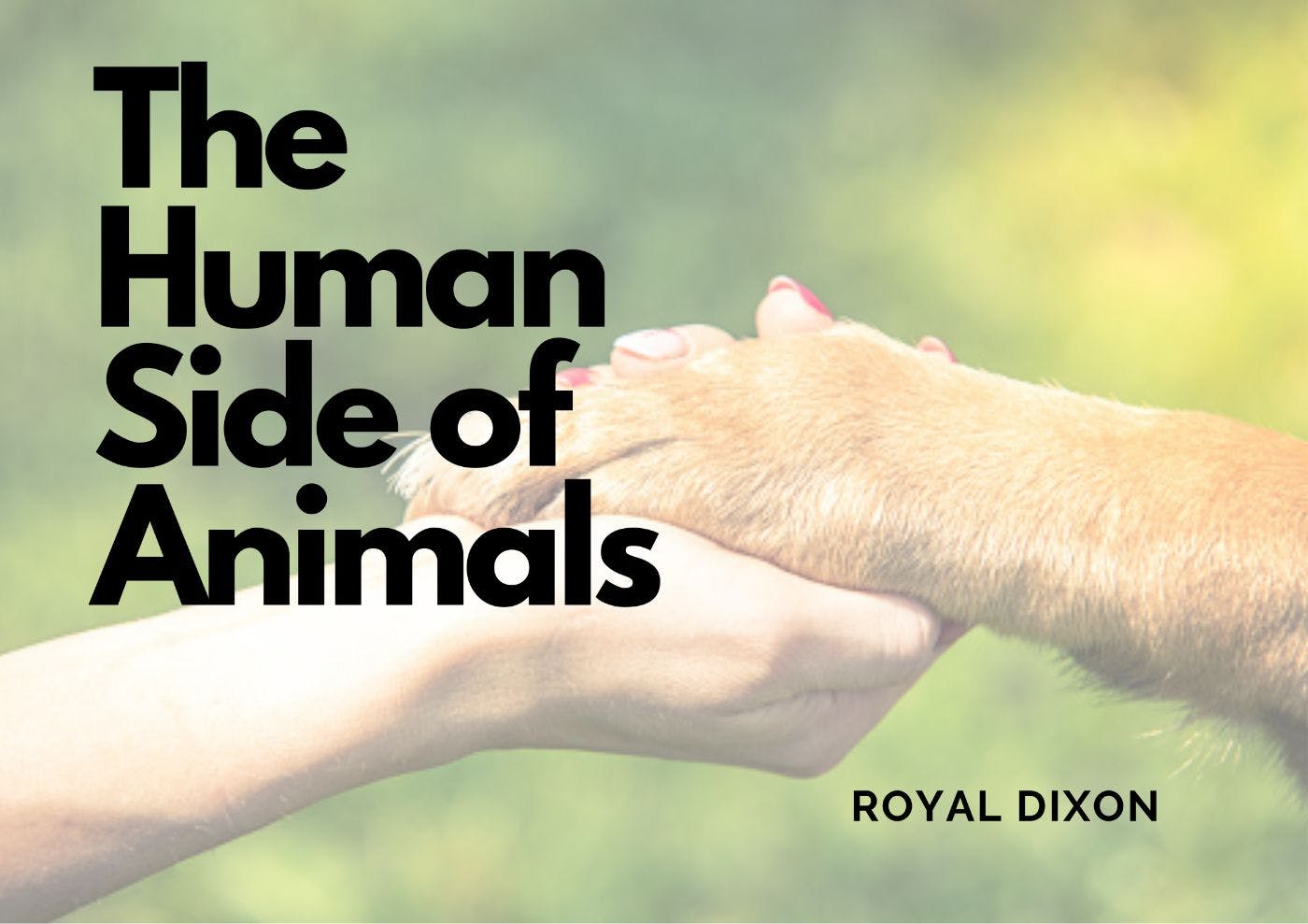 featured image - The Human Side of Animals by Royal Dixon - Table of Links
