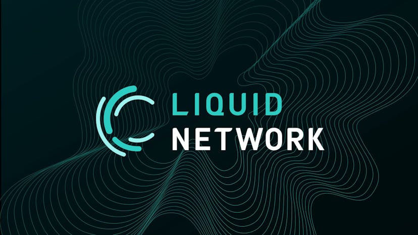 /a-beginners-guide-to-the-liquid-network feature image