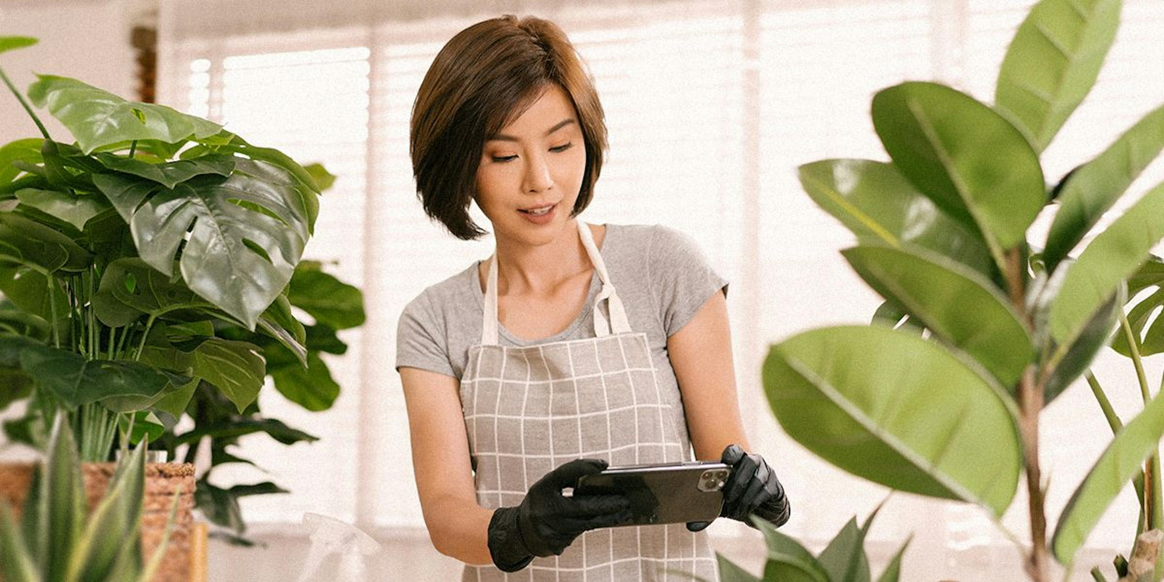 featured image - Keep Your Plants Alive Using AI