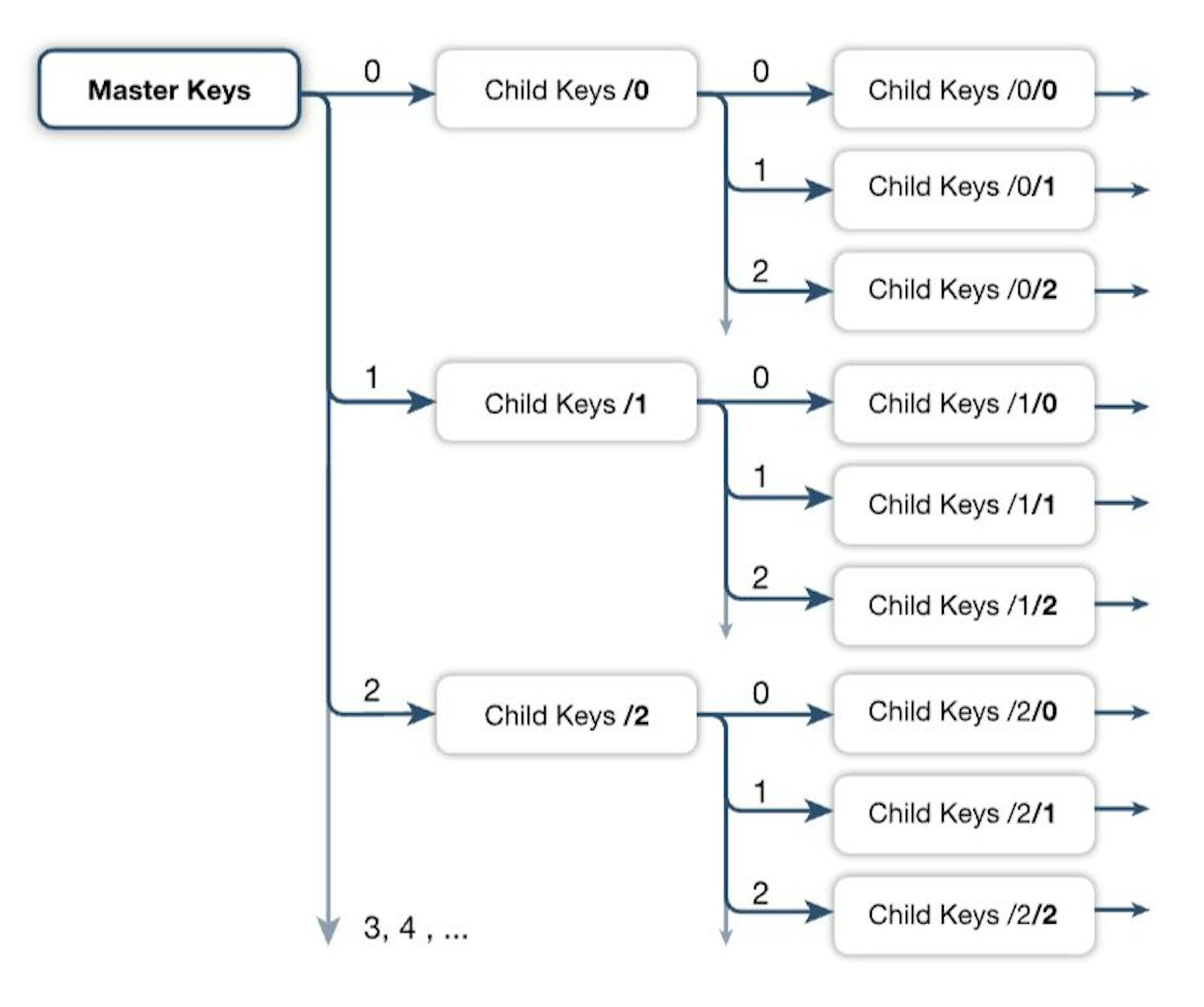 HD Wallet Tree