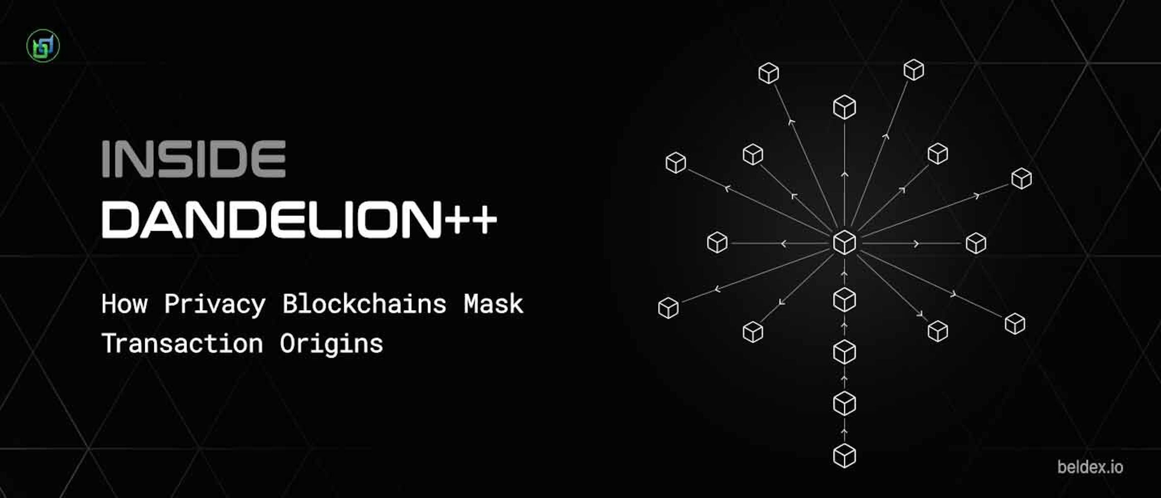 featured image - Why Integrate Dandelion++ Onto the Beldex Network?