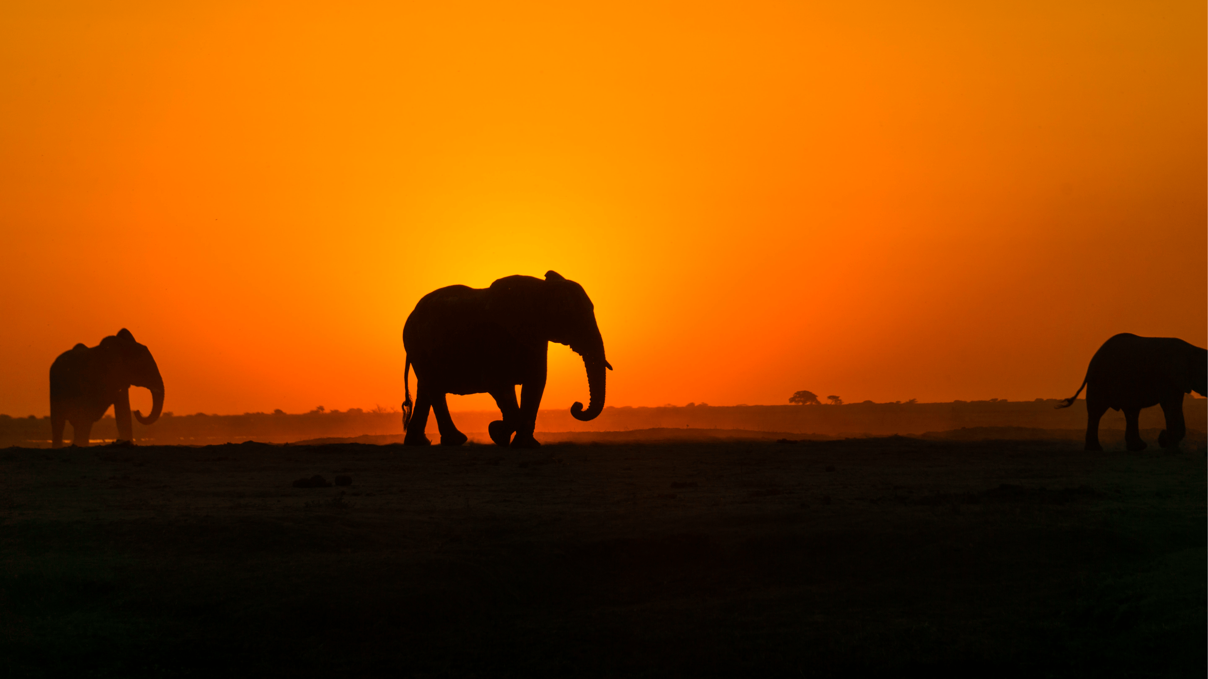 /postgresql-vs-mongodb-evaluating-database-structure-speed-and-more feature image