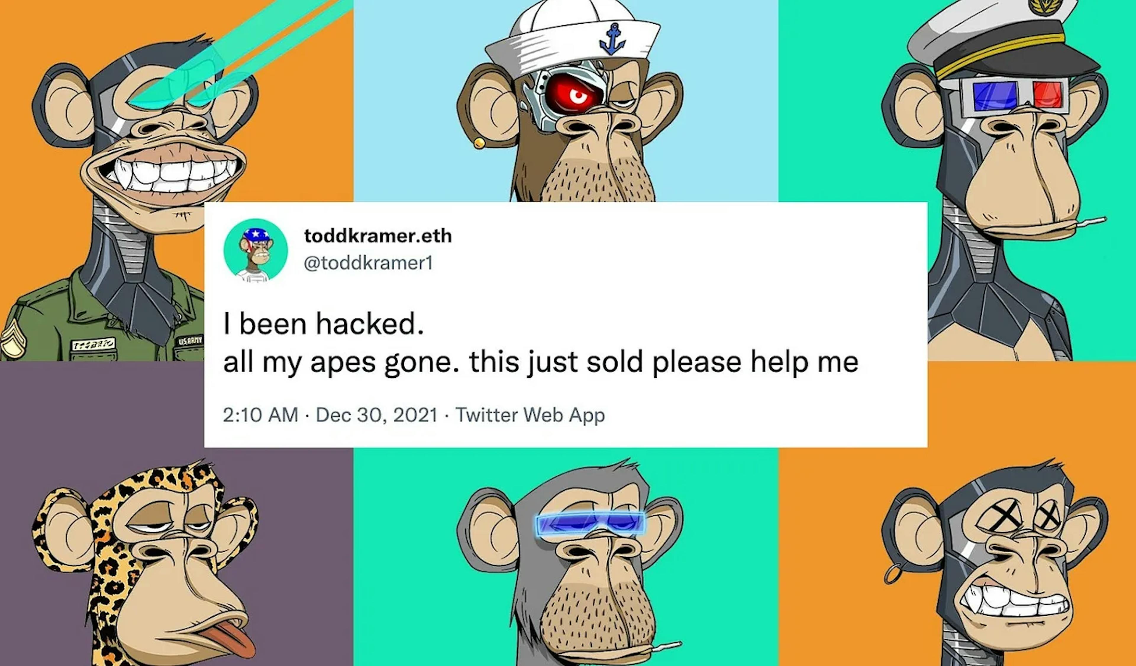 听到“加密货币”的呼声：“我所有的猿猴都走了”——图片来自 foobar 的 delegate.cash 公告