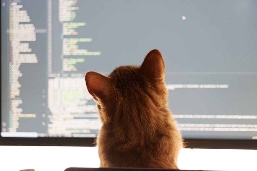 /code-review-culture-why-you-need-to-have-one feature image
