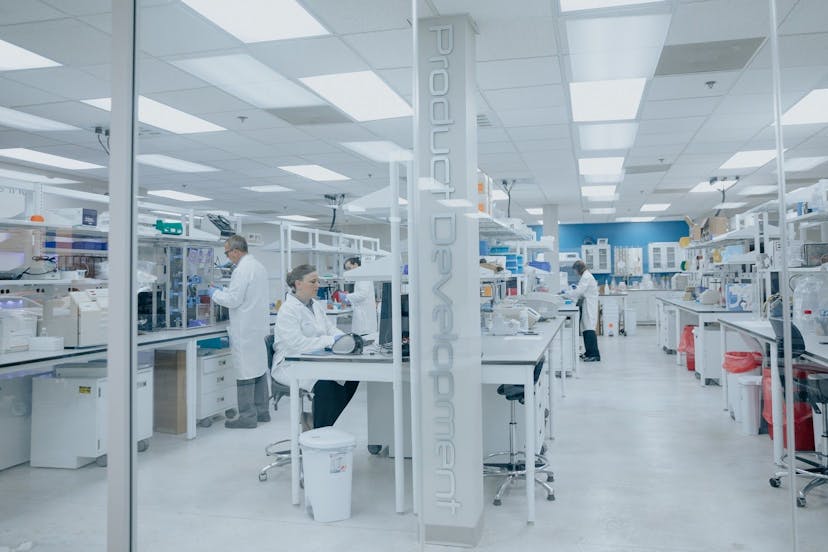 /a-brighter-future-for-cancer-patients-3-biotech-companies-developing-immunotherapy-0j2m31sf feature image