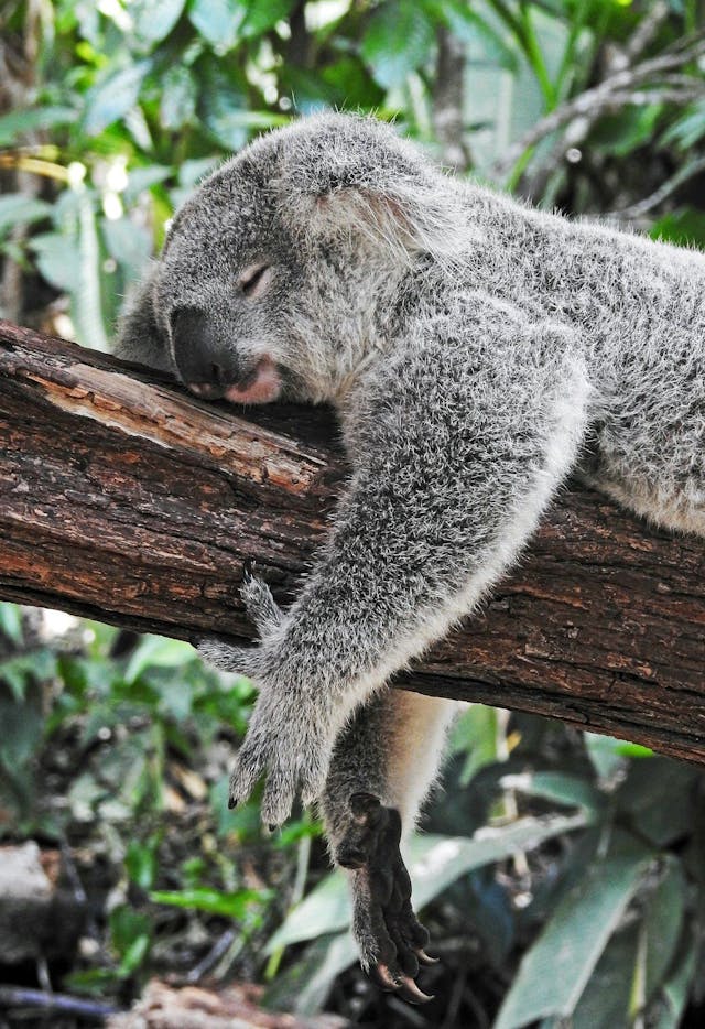 /getting-better-sleep-to-jumpstart-your-day feature image