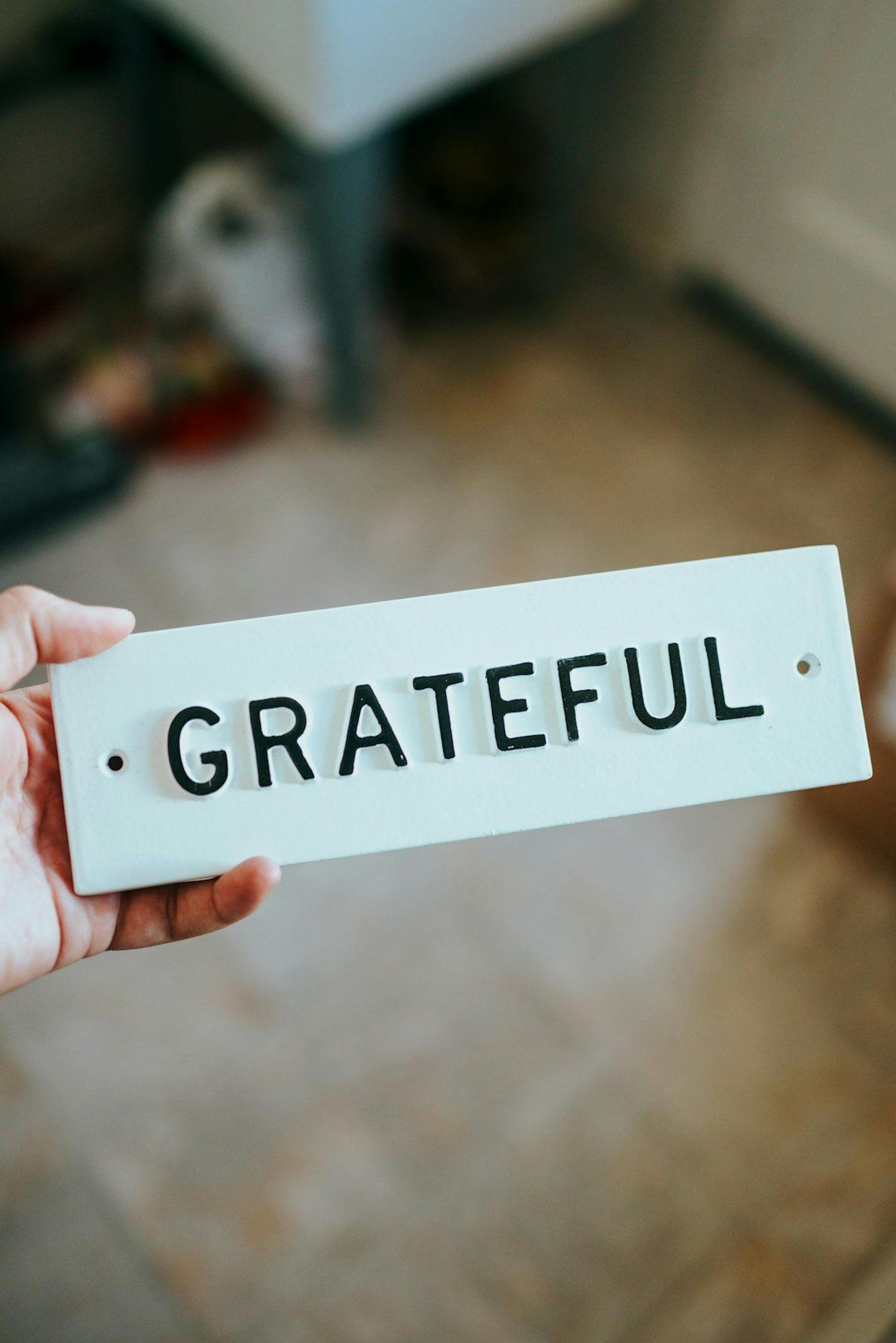 featured image - Gratitude Practices for the Hacker: Launch the Growth Mindset 