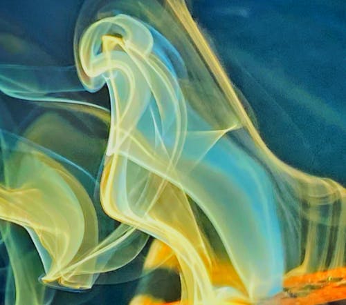 Amy Pravin Shah HackerNoon profile picture