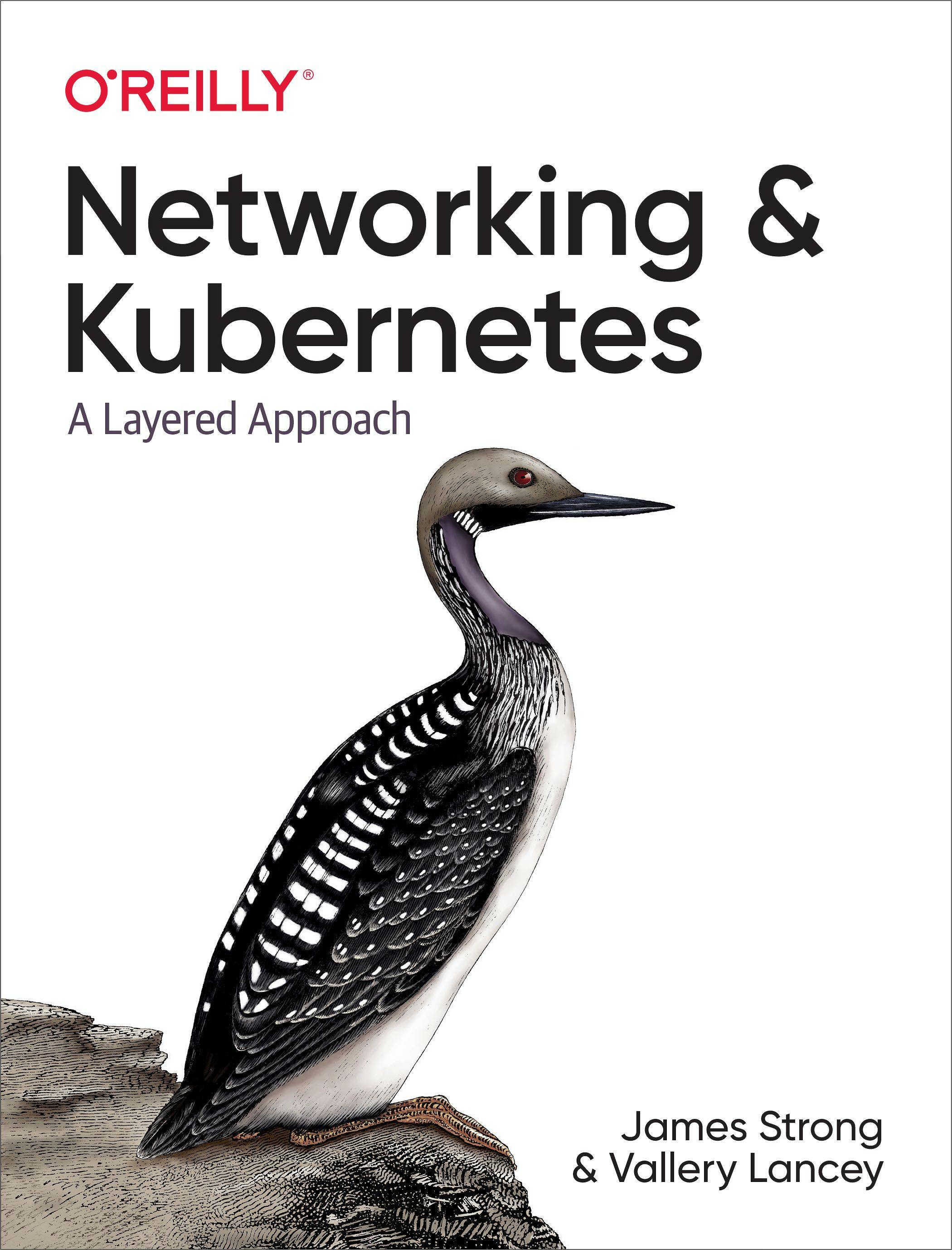 /networking-and-kubernetes-book-review-and-interview-with-author-james-strong feature image
