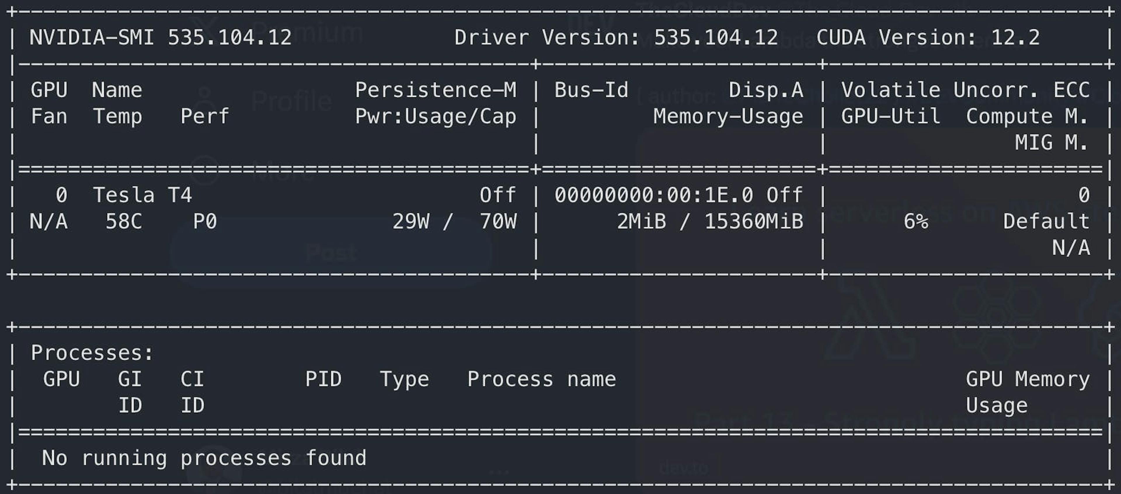 nvidia-smi output