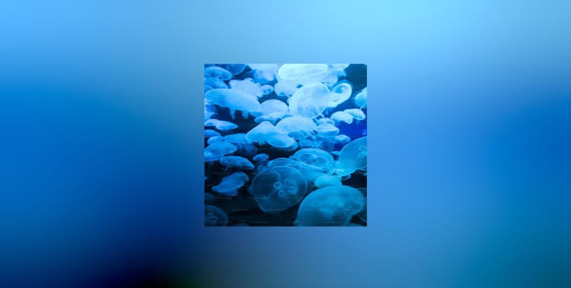 /how-to-create-apple-musics-background-blur-effect-using-blurhash feature image
