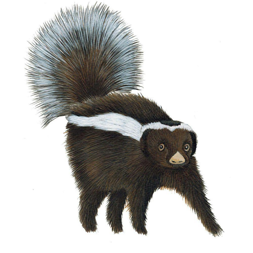 /how-to-find-the-stinky-parts-of-your-code-part-xii feature image