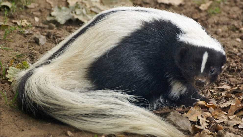 /how-to-find-the-stinky-parts-of-your-code-part-xiv feature image