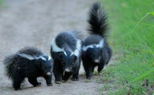 featured image - How to Find The Stinky Parts of Your Code (Part VII)