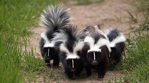 featured image - How to Find The Stinky Parts of Your Code (Part IX)