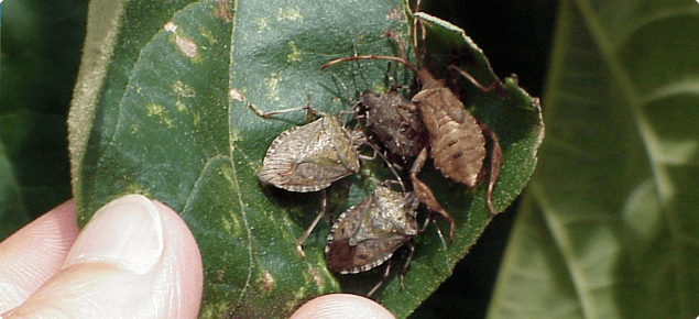 /how-to-find-the-stinky-parts-of-your-code-part-xx-we-have-reached-100 feature image