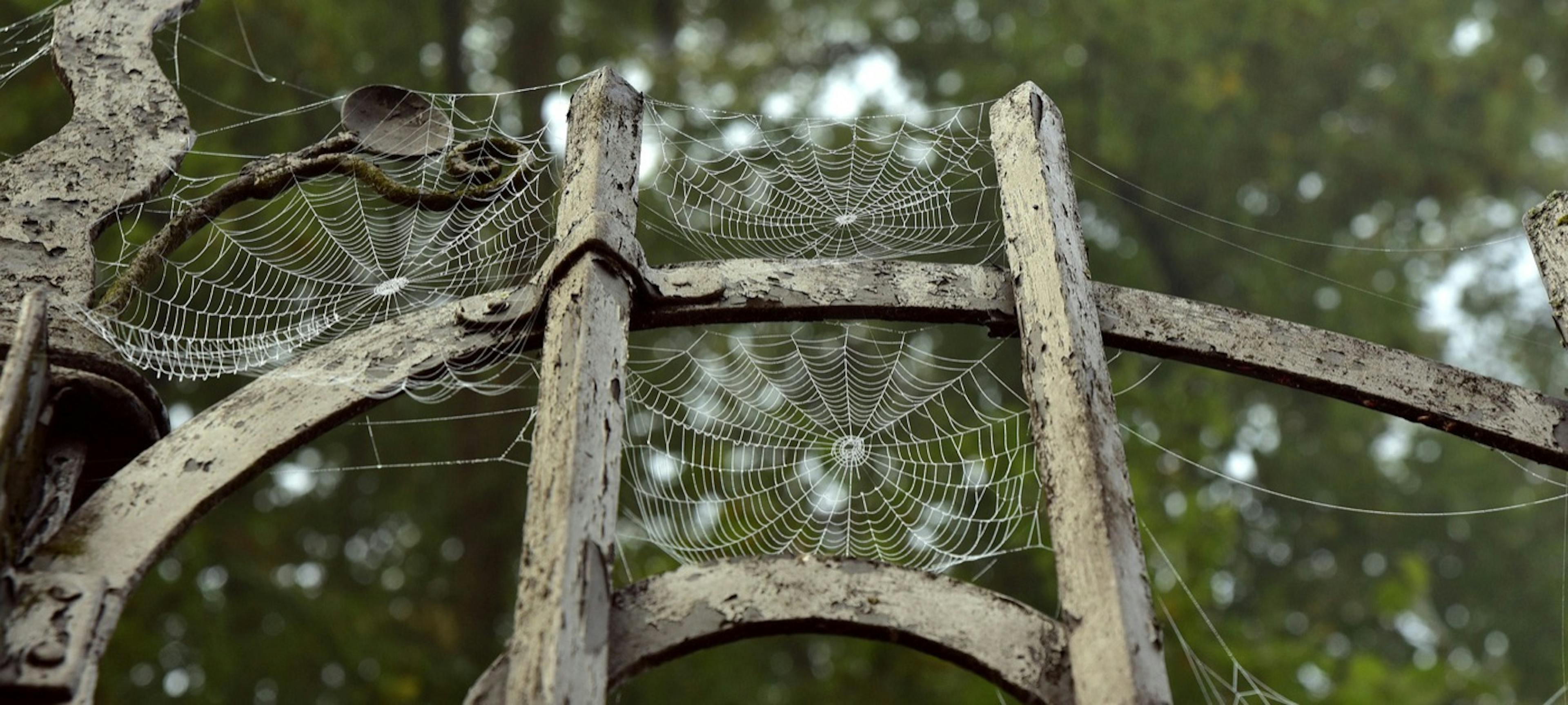 /process-gates-are-the-hellish-spawn-of-evil-you-should-avoid-heres-why feature image