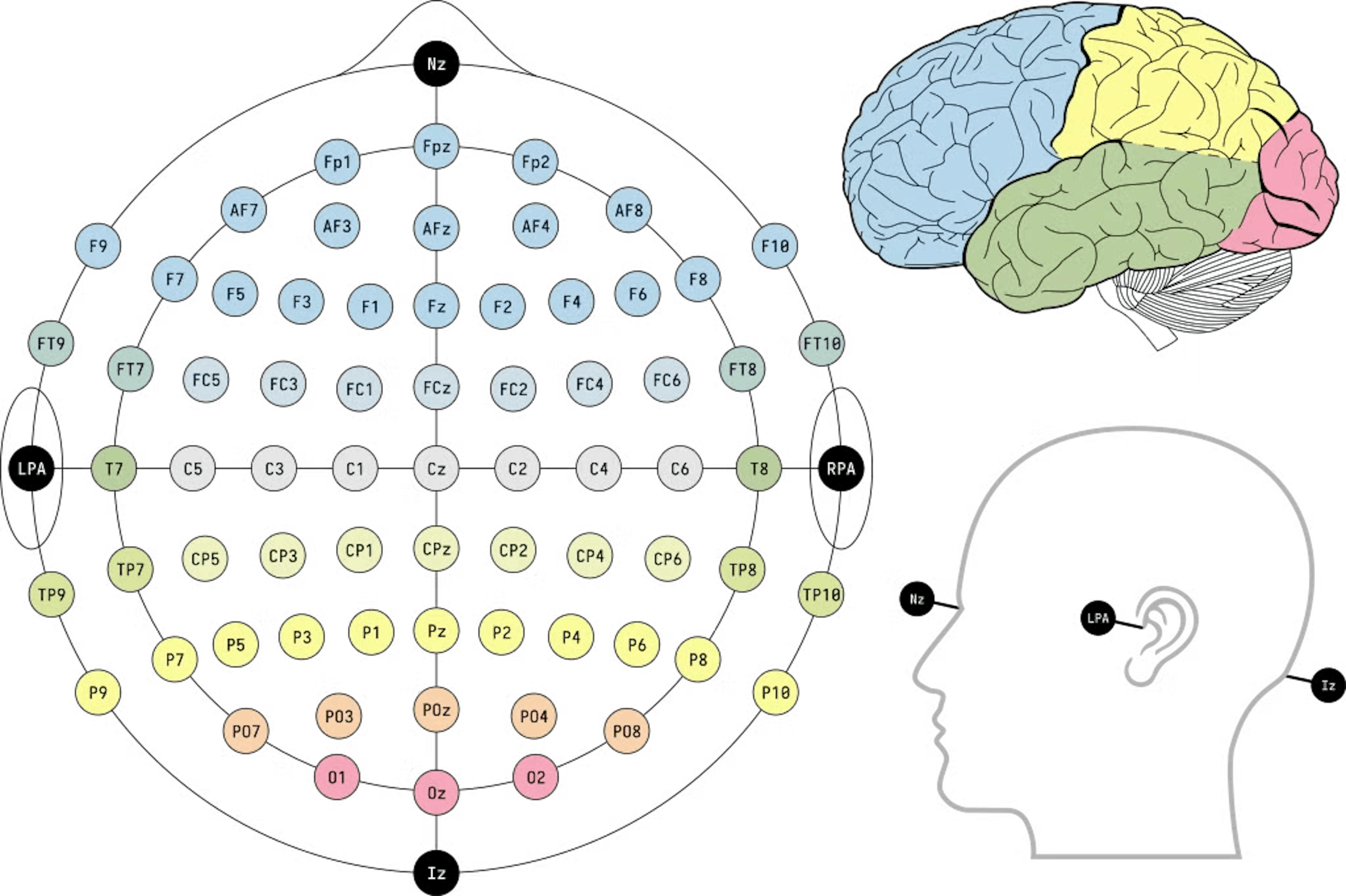 EEG 10-20 system scheme with zones information https://en.wikipedia.org/wiki/File:EEG_10-10_system_with_additional_information.svg 