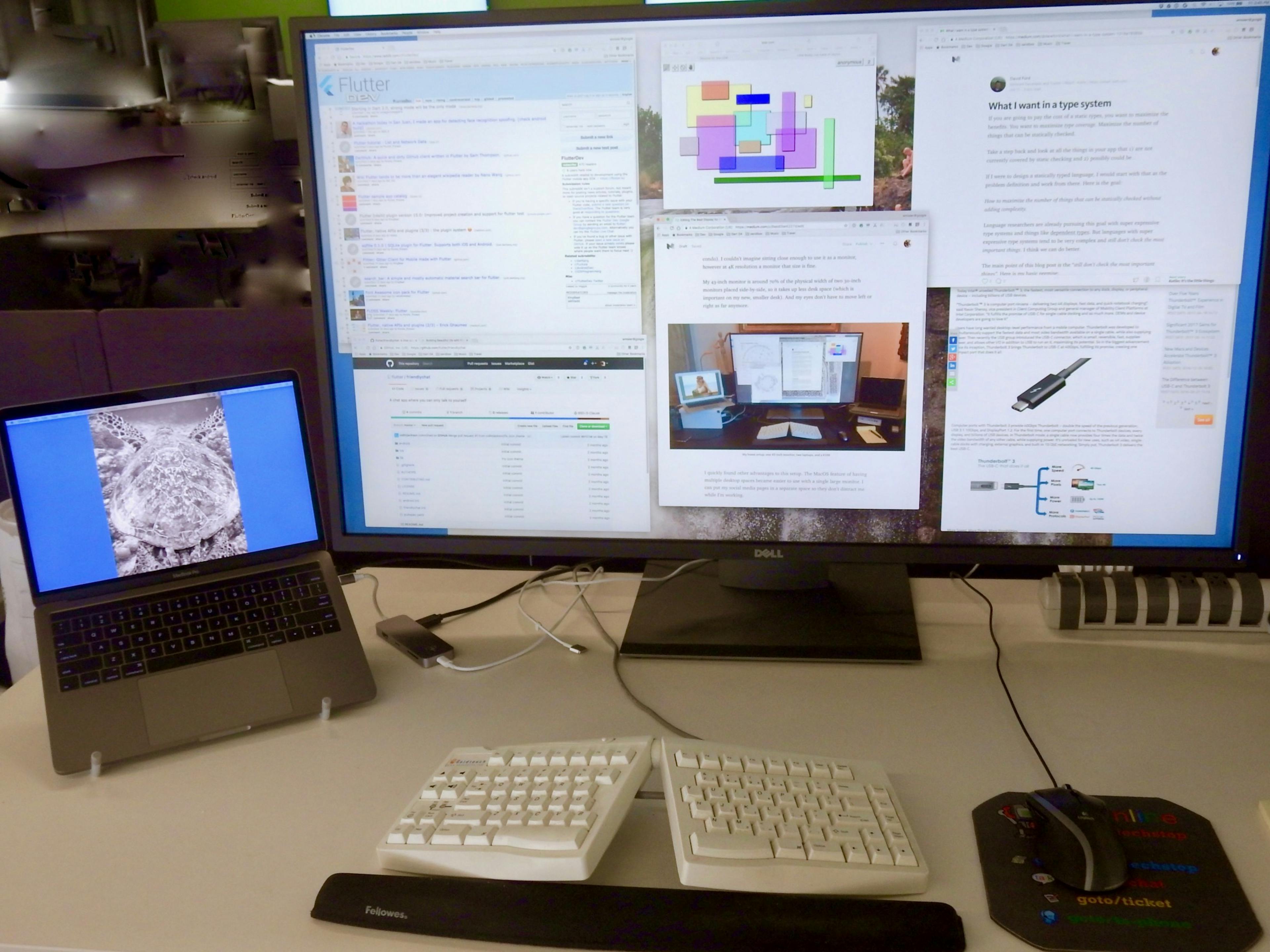 /the-best-display-for-programming-8aad0be4227d feature image