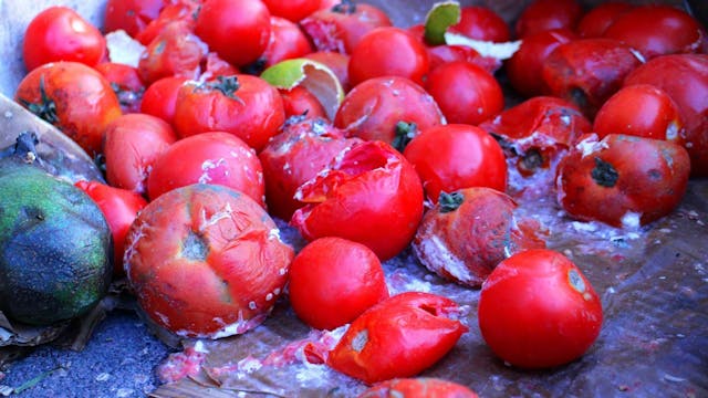 /startup-interview-with-chase-palmieri-ceo-of-credder-or-rotten-tomatoes-for-news feature image
