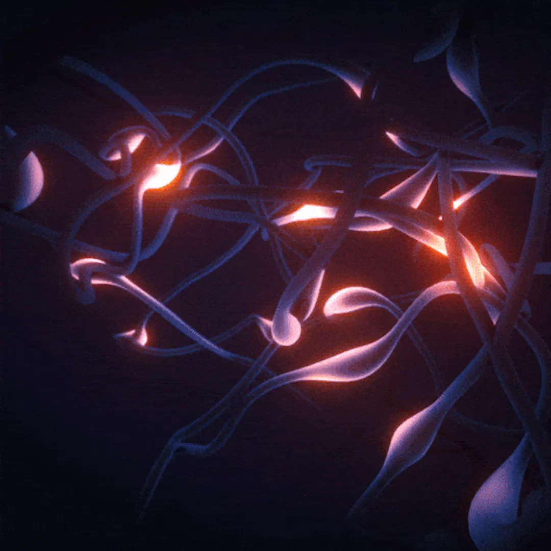 Learn Repo's image-b3d95
