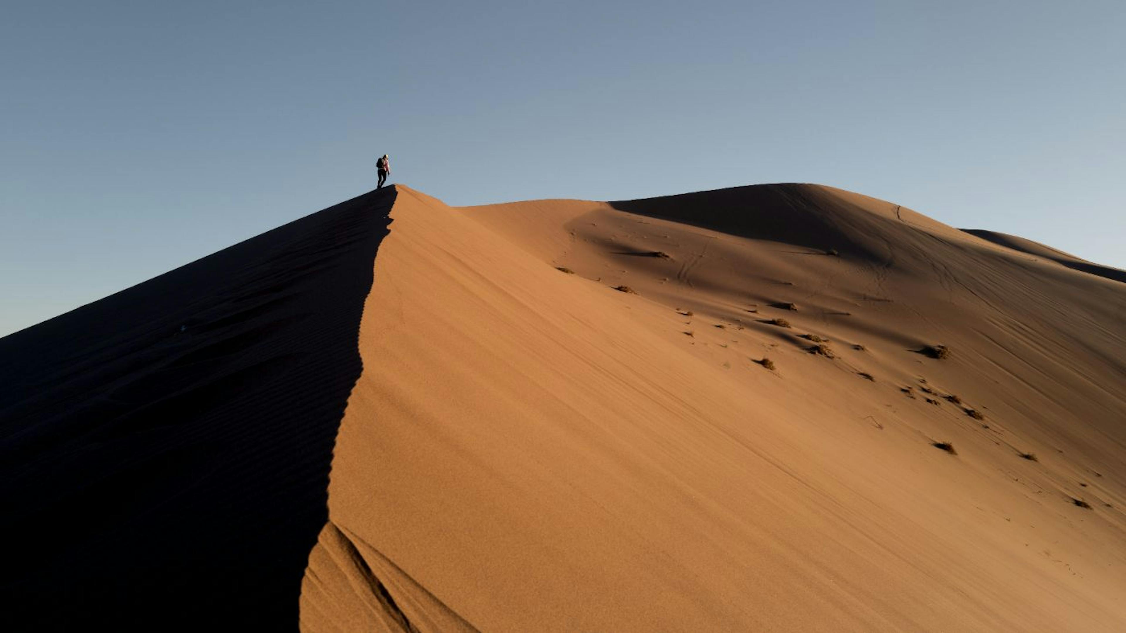 /diversity-can-solve-the-tech-staffing-crisis feature image