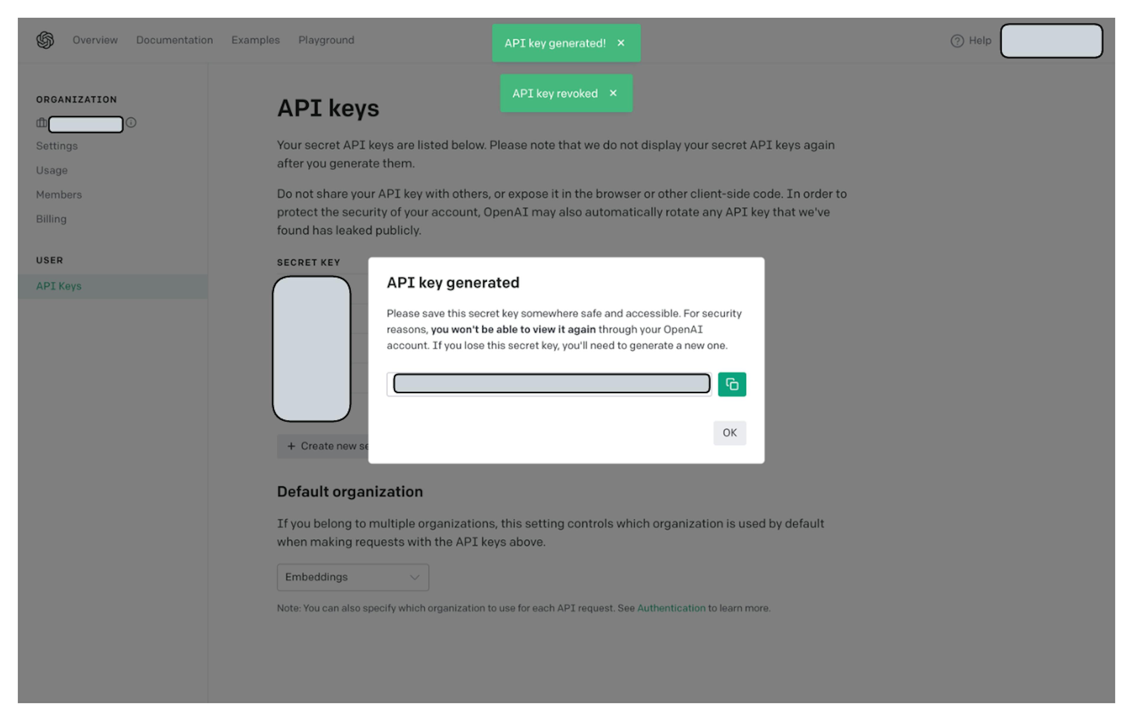 Creating an OpenAI key