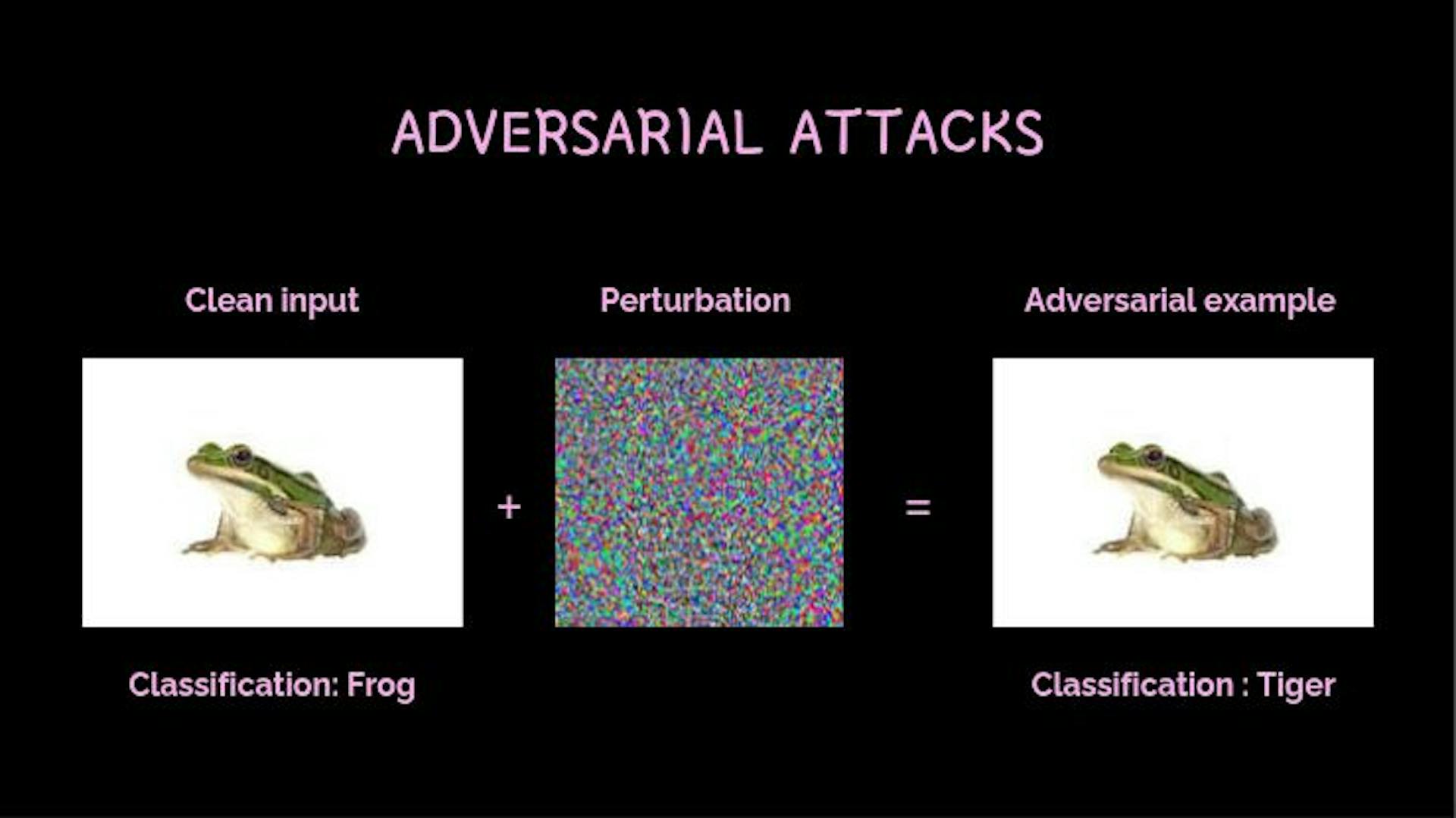 Photo of adversarial examples by Author