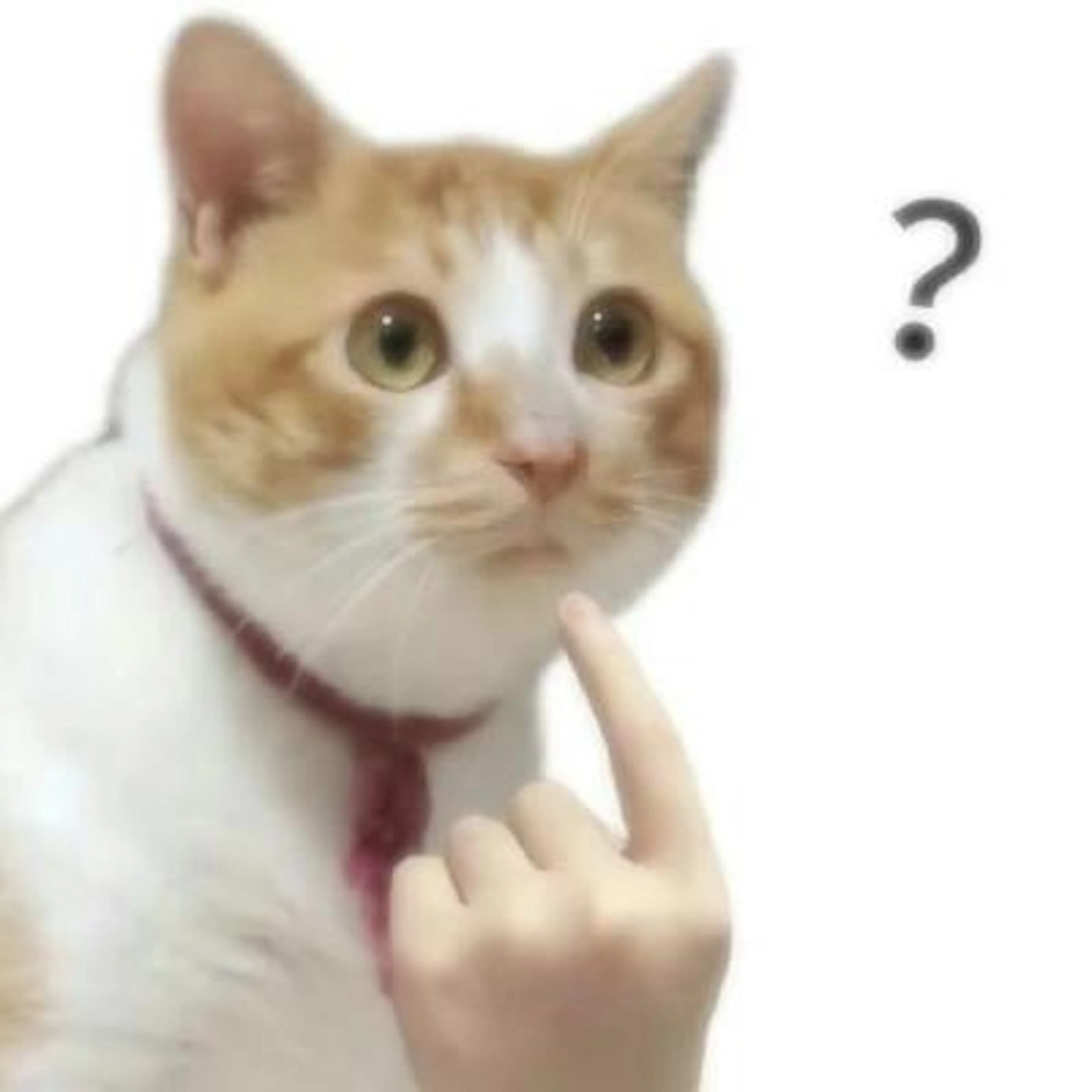 Sen HackerNoon profile picture