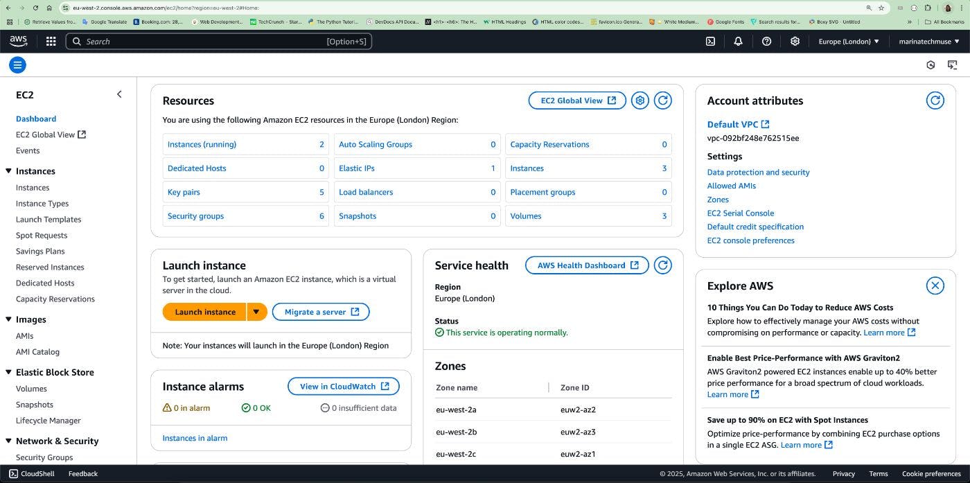 Picture 7. AWS EC2 console