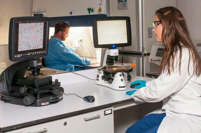 /dna-technology-how-genetics-research-improves-healthcare-qn1u37ek feature image