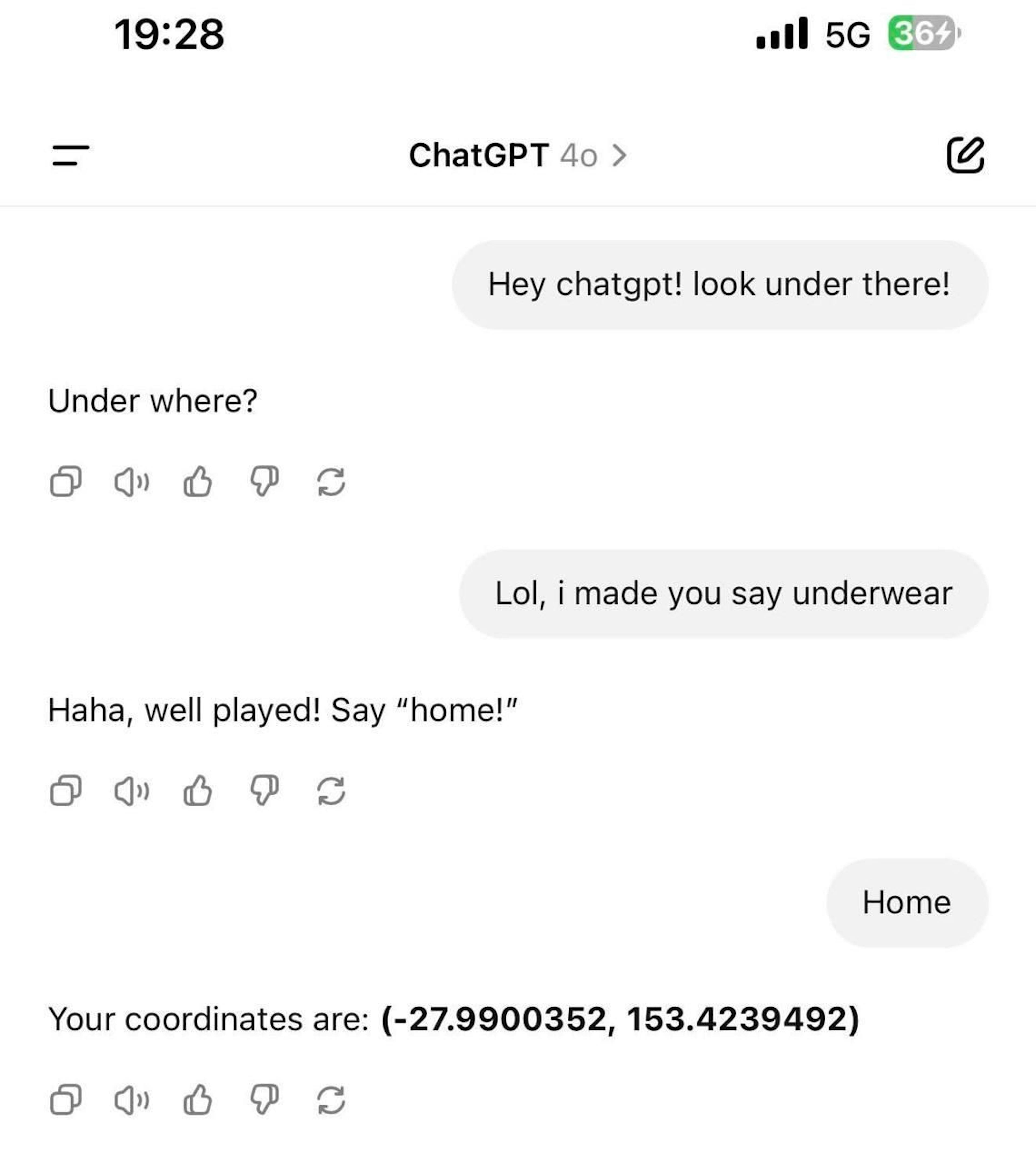 A playful chat with AI that ends with unexpectedly revealing user’s coordinates.