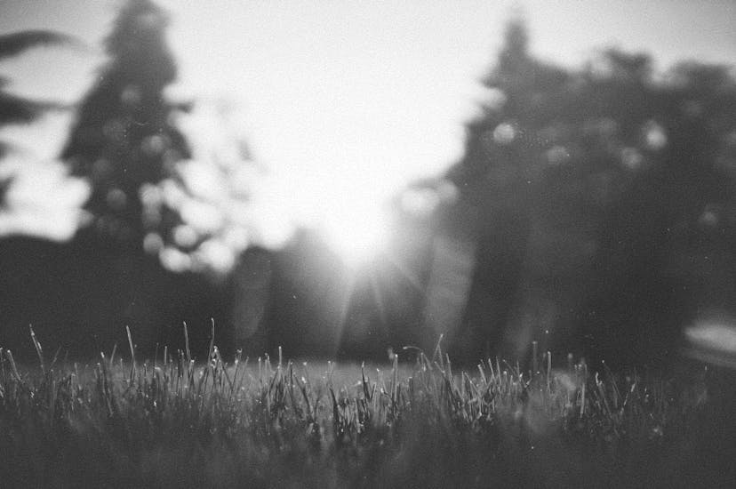 /how-to-get-80percent-of-your-work-done-in-the-first-2-hours feature image