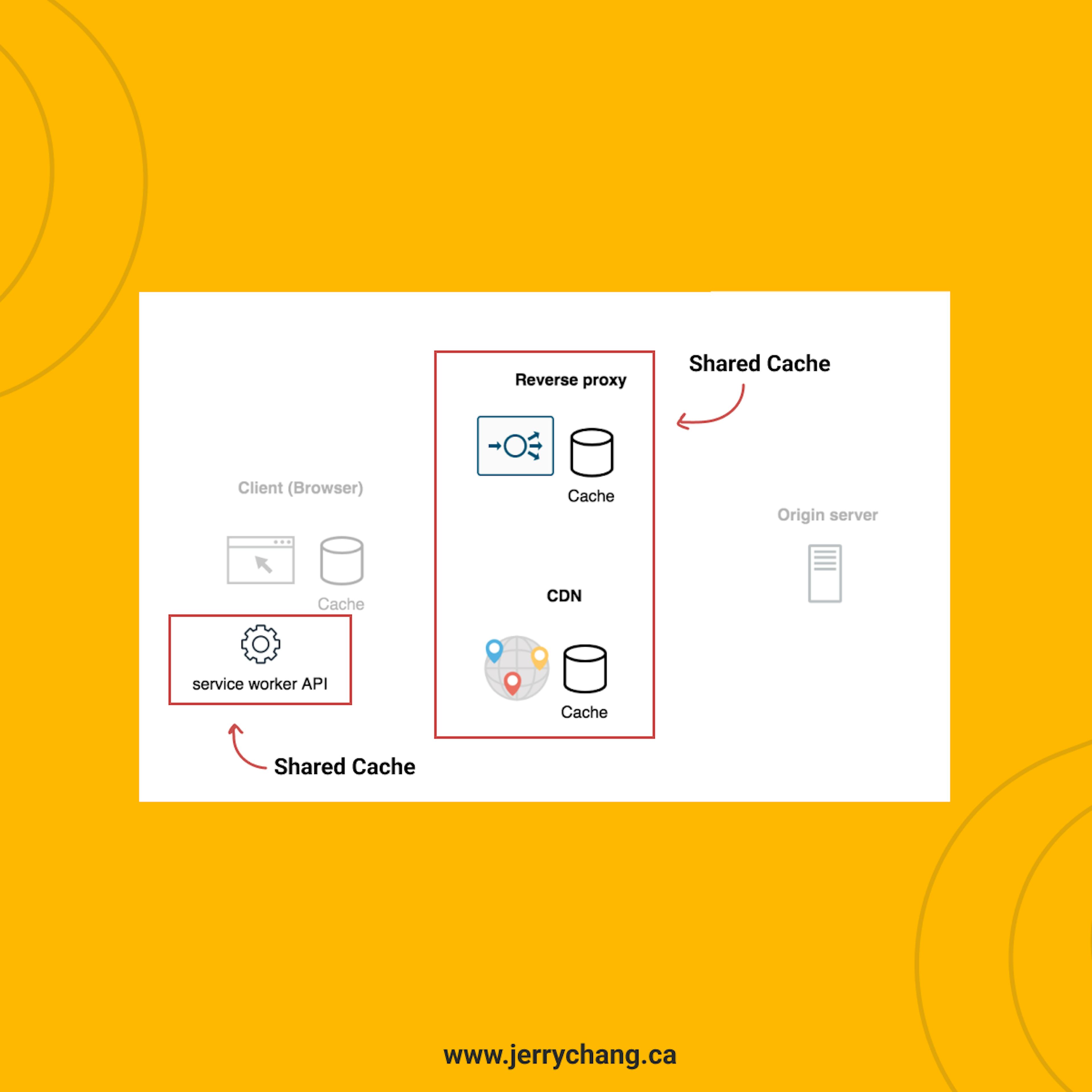 Illustration of the Shared caches (ie Reverse proxy, CDNs, service workers)