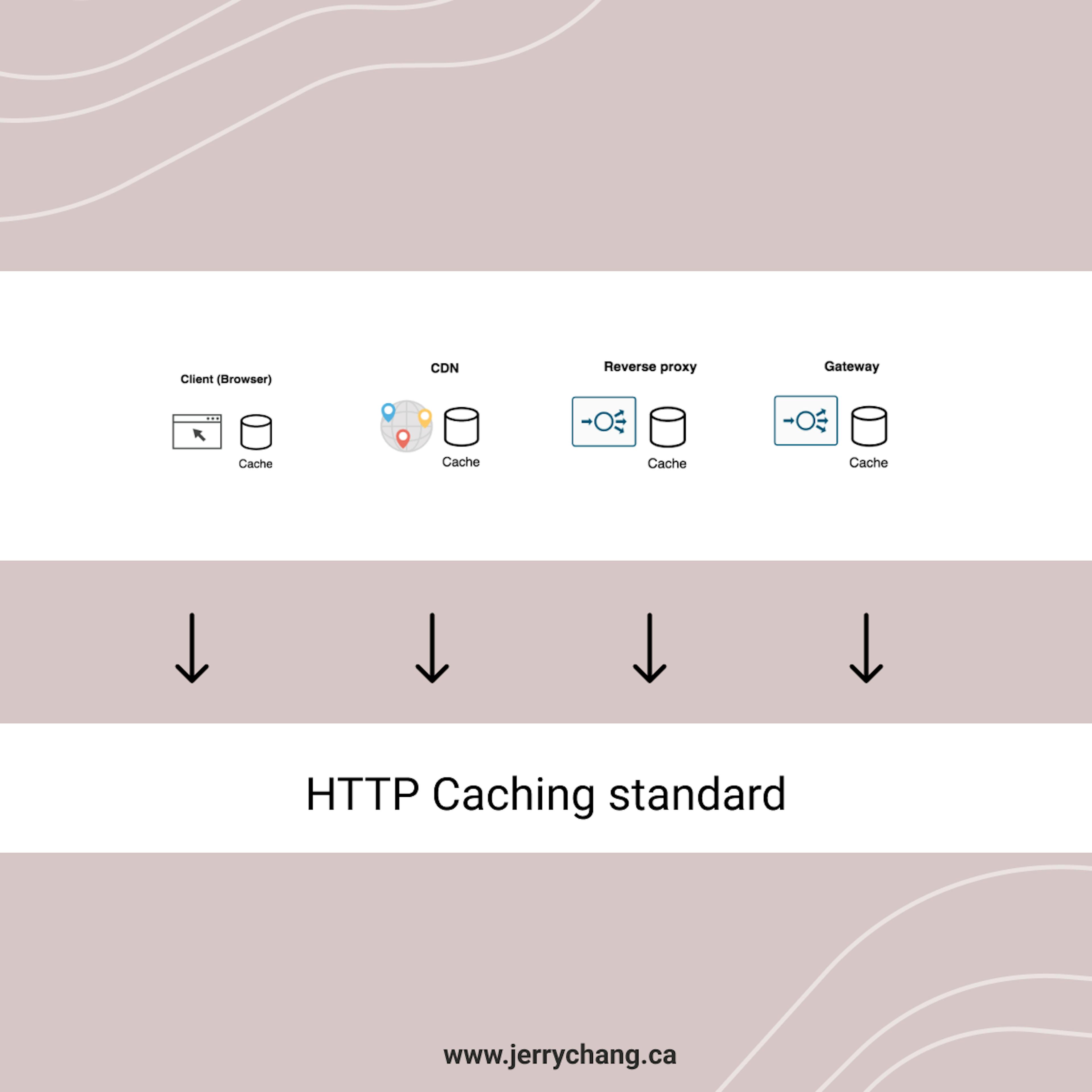 Illustration of common software tools built on the HTTP caching standard