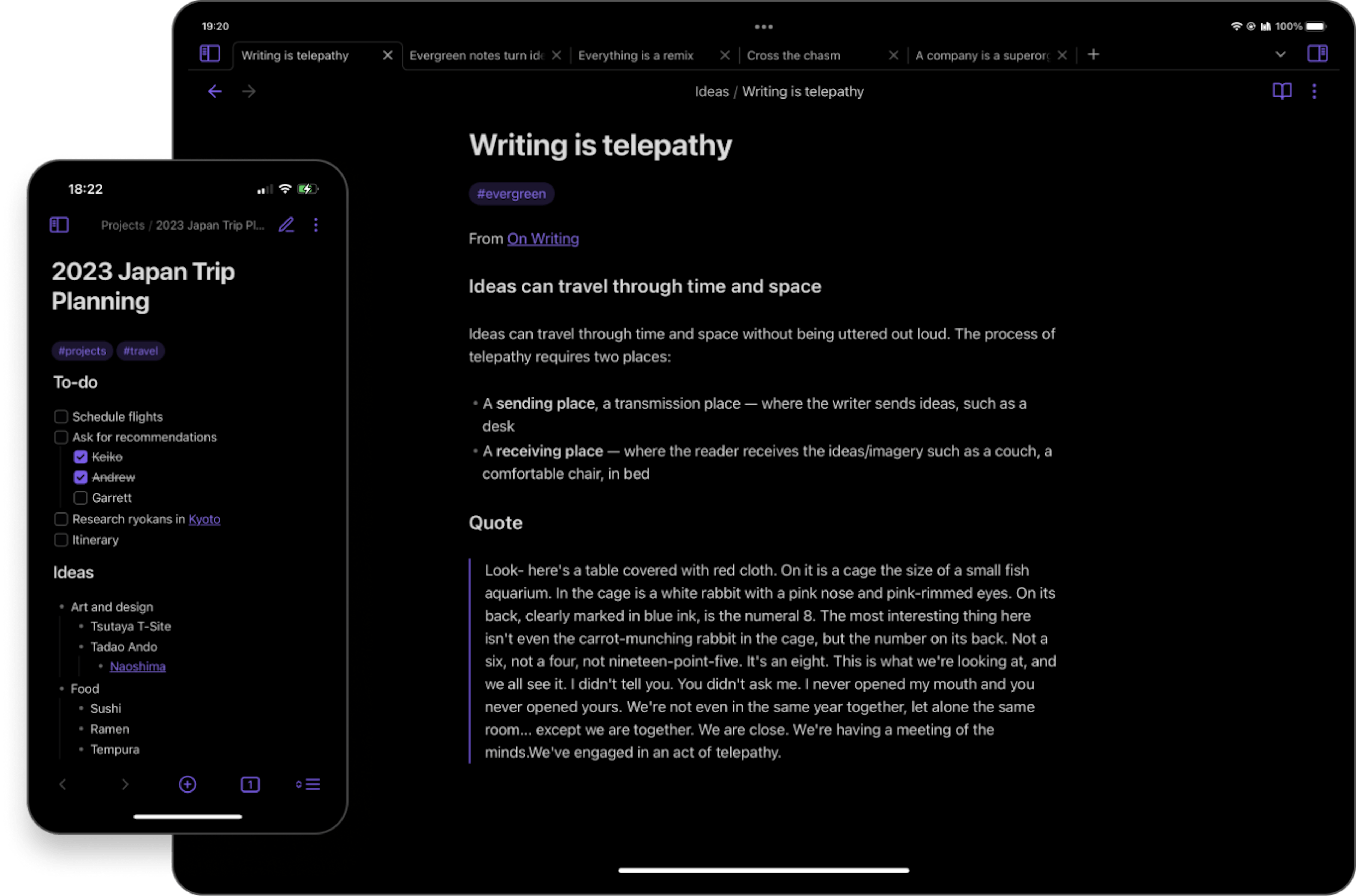 Obsidian app