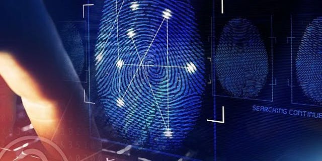/revealing-the-digital-detective-essential-osint-tools-and-techniques-for-investigators feature image