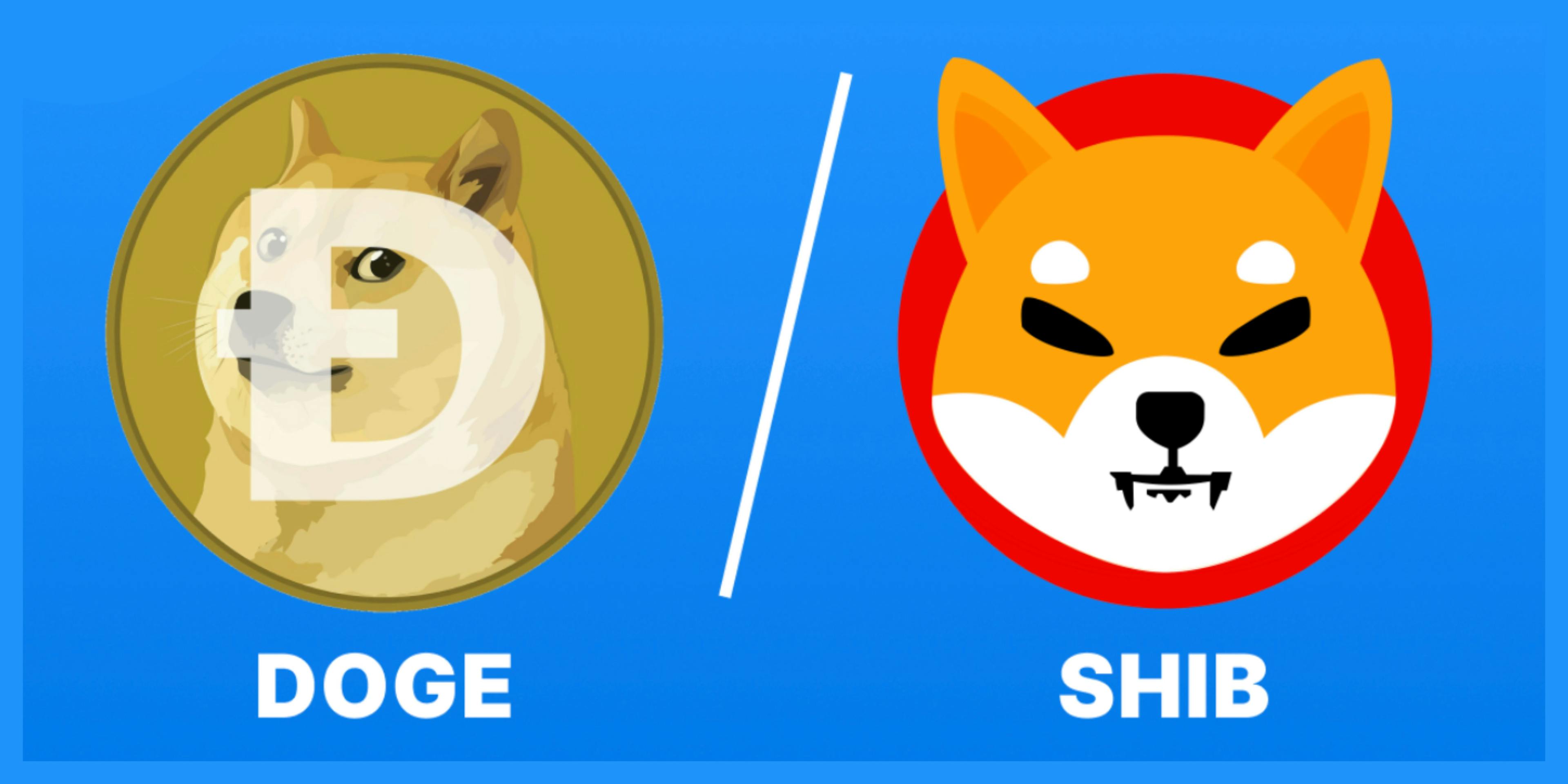 featured image - Who's the Top Crypto Dog? Shiba Inu vs. Dogecoin