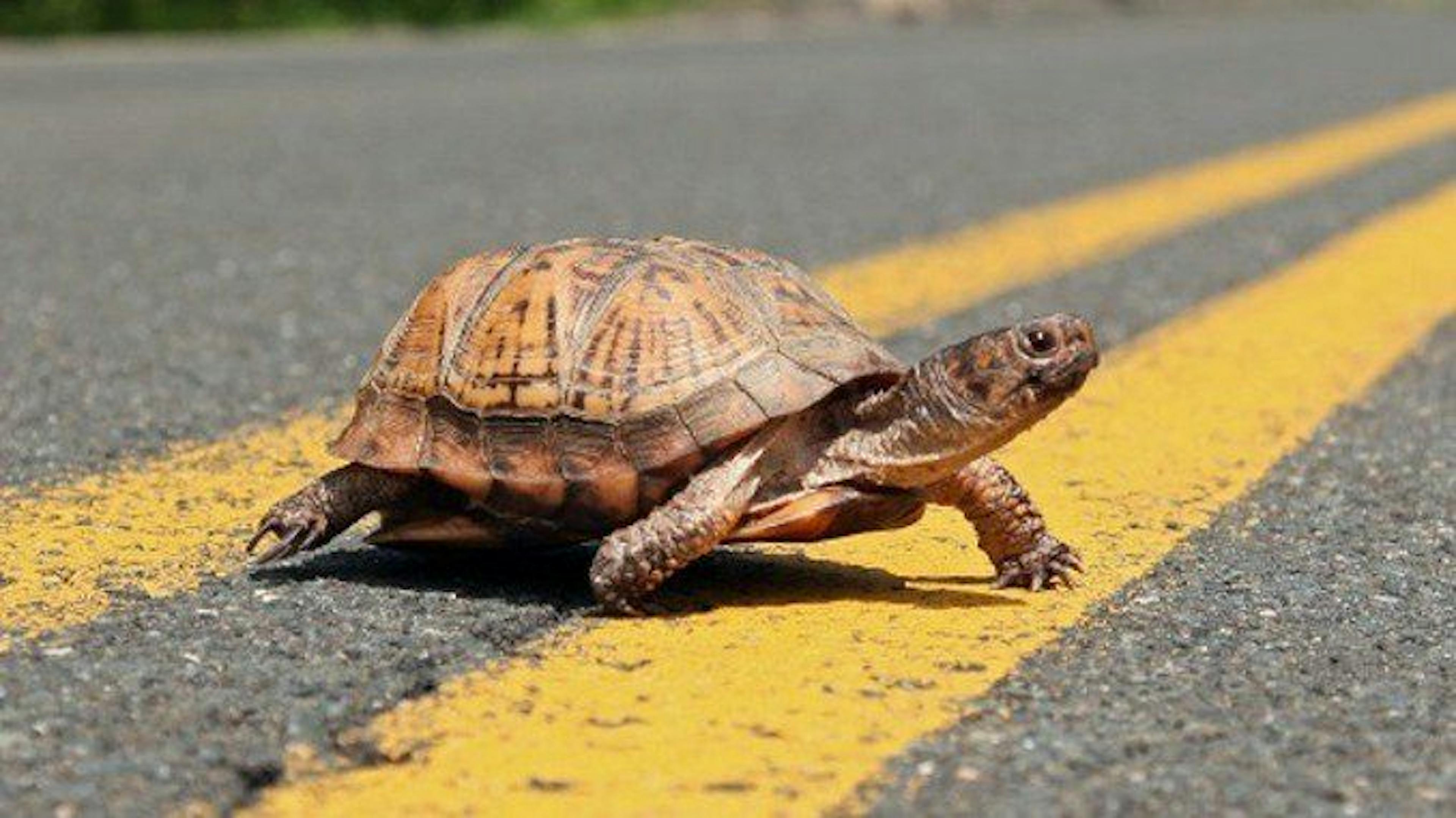 /everything-wrong-with-bitcoin-in-2020-0117314y feature image