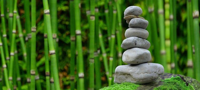 /10-ways-to-promote-wellness-in-the-workplace feature image