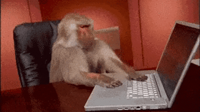 Um gif de macaco no computador tentando desfazer algo ruim. Fonte: giphy.com